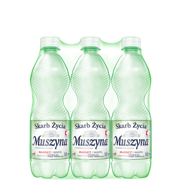 Skarb Życia Muszyna Woda Mineralna Gazowana 0.5 Zgrzewka